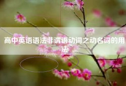 高中英语语法非谓语动词之动名词的用法