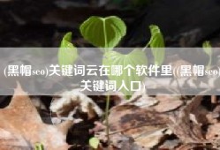 (黑帽seo)关键词云在哪个软件里((黑帽seo)关键词入口)