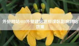外贸网站SEO外贸建站这些误区影响网站效果