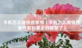 手机怎么查快递单号（手机怎么查快递单号看包裹走到哪里了）