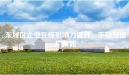 东城区企业在线影响力提升，手动与推广策略