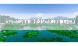 支持mhl的手机（支持mhl的手机型号）