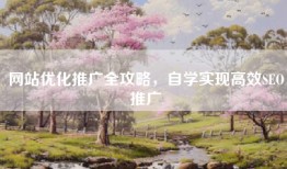 网站优化推广全攻略，自学实现高效SEO推广
