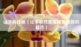 让手机性能（让手机性能发挥到极致的软件）