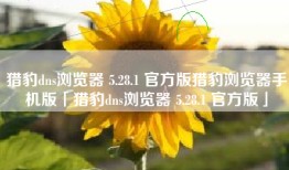 猎豹dns浏览器 5.28.1 官方版猎豹浏览器手机版「猎豹dns浏览器 5.28.1 官方版」