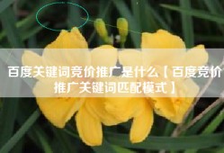 百度关键词竞价推广是什么【百度竞价推广关键词匹配模式】