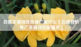 百度关键词竞价推广是什么【百度竞价推广关键词匹配模式】