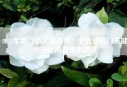 2021年度口播文案攻略：全面涵热门关键词与使用者搜索需求