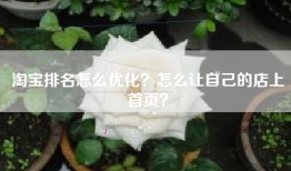淘宝排名怎么优化？怎么让自己的店上首页？