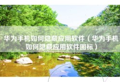 华为手机如何隐藏应用软件（华为手机如何隐藏应用软件图标）