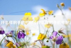 什么样的手机号好（什么样的手机号好？）
