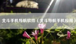 北斗手机导航软件（北斗导航手机应用）