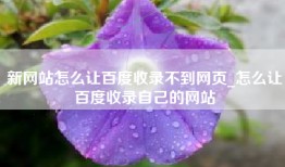 新网站怎么让百度收录不到网页_怎么让百度收录自己的网站