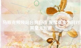 马斯克频频站台狗狗币 灰度基金为何对其毫无兴趣