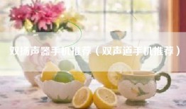 双扬声器手机推荐（双声道手机推荐）