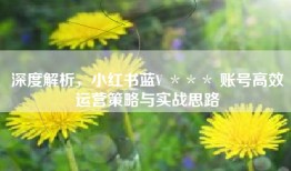 深度解析，小红书蓝V ＊＊＊ 账号高效运营策略与实战思路