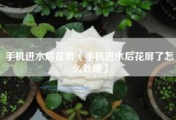 手机进水后花屏（手机进水后花屏了怎么处理）