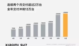 11月车市：比亚迪夺冠，新势力月销破万成新常态