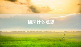楼风什么意思