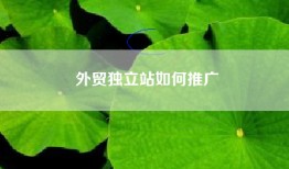 外贸独立站如何推广