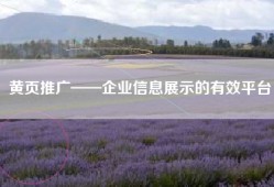 黄页推广——企业信息展示的有效平台