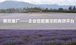 黄页推广——企业信息展示的有效平台
