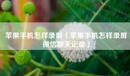 苹果手机怎样录屏（苹果手机怎样录屏微信聊天记录）