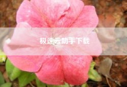 极速云助手下载