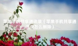 苹果手机共享通讯录（苹果手机共享通讯录怎么删除）