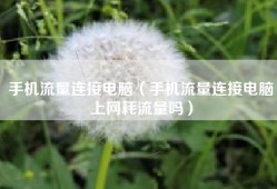 手机流量连接电脑（手机流量连接电脑上网耗流量吗）