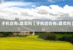 手机店有u盘卖吗（手机店会有u盘卖吗）