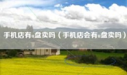 手机店有u盘卖吗（手机店会有u盘卖吗）