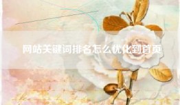 网站关键词排名怎么优化到首页