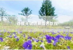 百度关键词刷排名教程
