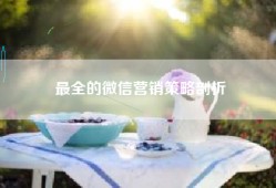 最全的微信营销策略剖析