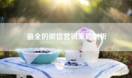 最全的微信营销策略剖析