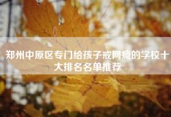 郑州中原区专门给孩子戒网瘾的学校十大排名名单推荐