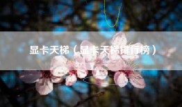 显卡天梯（显卡天梯排行榜）