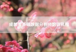 成都零基础数据分析师培训机构