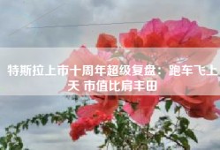 特斯拉上市十周年超级复盘：跑车飞上天 市值比肩丰田