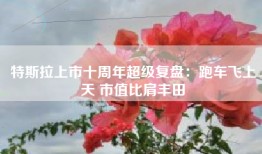 特斯拉上市十周年超级复盘：跑车飞上天 市值比肩丰田