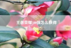 王者荣耀100强怎么获得