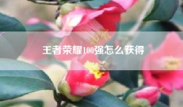 王者荣耀100强怎么获得