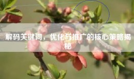 解码关键词，优化与推广的核心策略揭秘