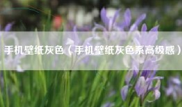 手机壁纸灰色（手机壁纸灰色系高级感）