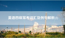 英语四级常考词汇及例句解析(2)