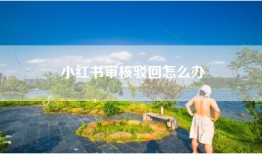 小红书审核驳回怎么办