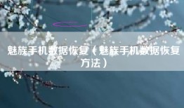 魅族手机数据恢复（魅族手机数据恢复方法）