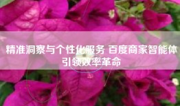 精准洞察与个性化服务 百度商家智能体引领效率革命