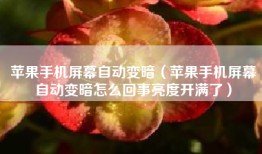 苹果手机屏幕自动变暗（苹果手机屏幕自动变暗怎么回事亮度开满了）